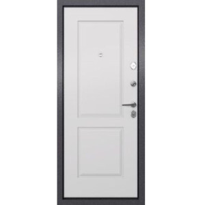 входная дверь TOREX TAU LT РP 1 купить в Борисове